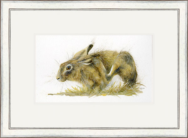 Gentle Touch (Hare) 